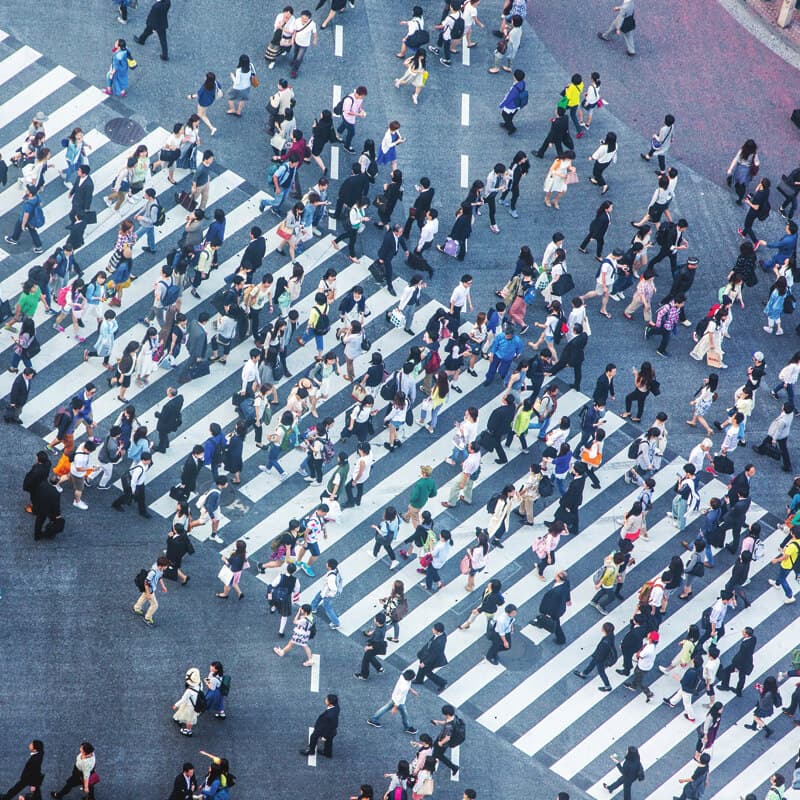 Aerial view of a dense crowd