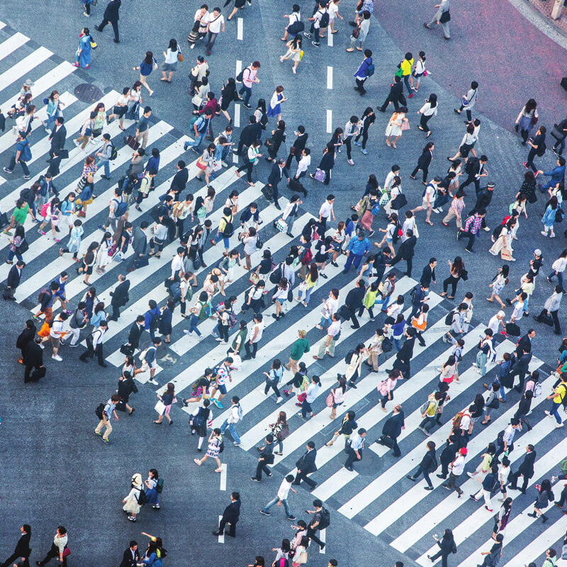 Aerial view of a dense crowd